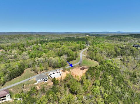 Tiny photo for 265 River Run Tr, Spring City, TN 37381 (MLS # 1336372)