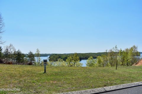 Tiny photo for 265 River Run Tr, Spring City, TN 37381 (MLS # 1336372)