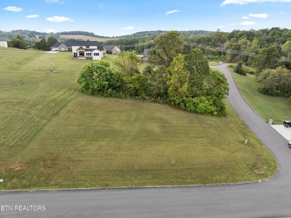 Photo of 0 Campbells Point Rd, Corryton, TN 37721 (MLS # 1316805)
