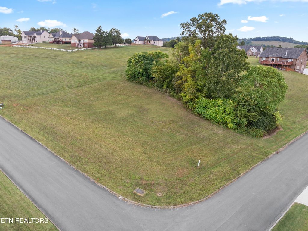 Photo of 0 Campbells Point Rd, Corryton, TN 37721 (MLS # 1316805)