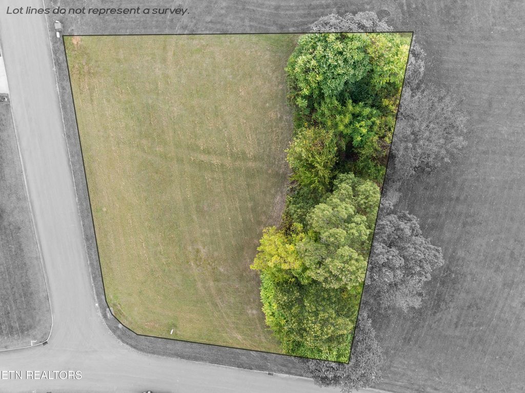 Photo of 0 Campbells Point Rd, Corryton, TN 37721 (MLS # 1316805)