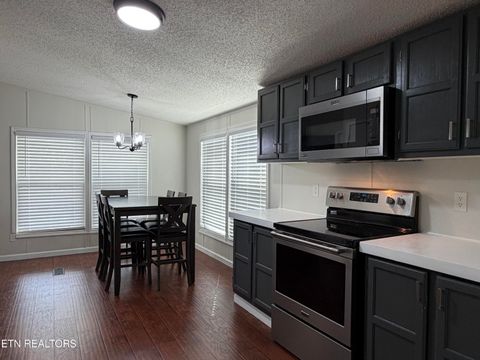 Tiny photo for 179 Moonview Drive, LaFollette, TN 37766 (MLS # 1320158)