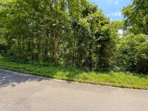 Tiny photo for 55 Oak Lake Drive, Sevierville, TN 37876 (MLS # 1357433)