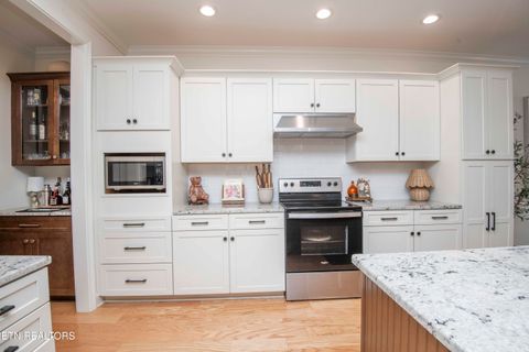 Tiny photo for 3358 Flagstaff Lane, Knoxville, TN 37931 (MLS # 1325876)