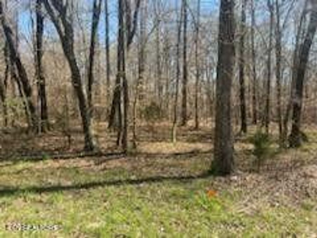 Photo of 378 State Highway 68 W, Decatur, TN 37322 (MLS # 1294991)