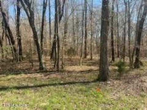 Tiny photo for 378 State Highway 68 W, Decatur, TN 37322 (MLS # 1294991)