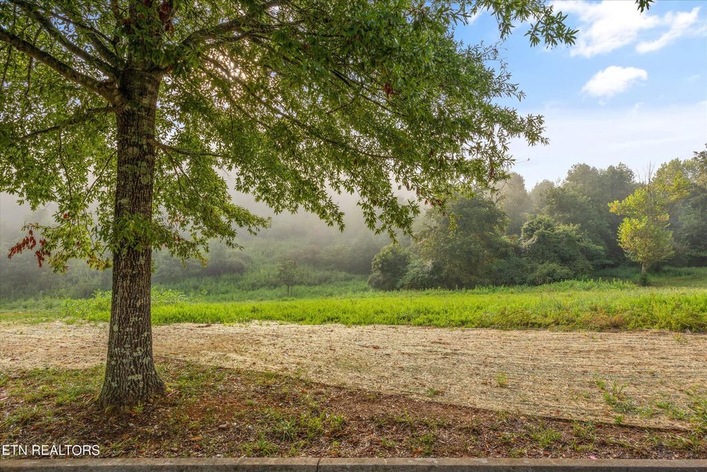Photo of 140 Pineberry East Rd, Oak Ridge, TN 37830 (MLS # 1314467)
