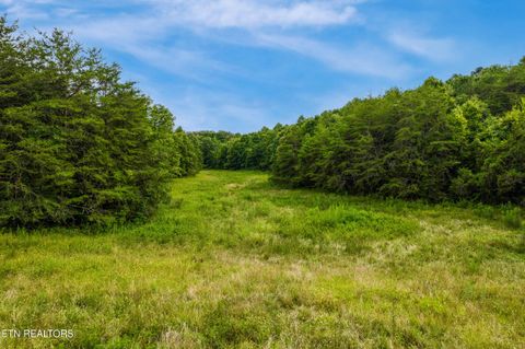 Photo of Alex Bales Rd #12.9 acres, Kodak, TN 37764 (MLS # 1328230)