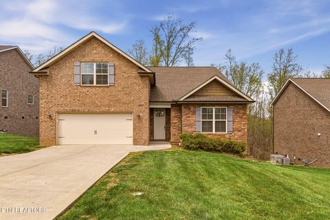 Photo of 11847 Black Rd, Knoxville, TN 37932 (MLS # 1334888)