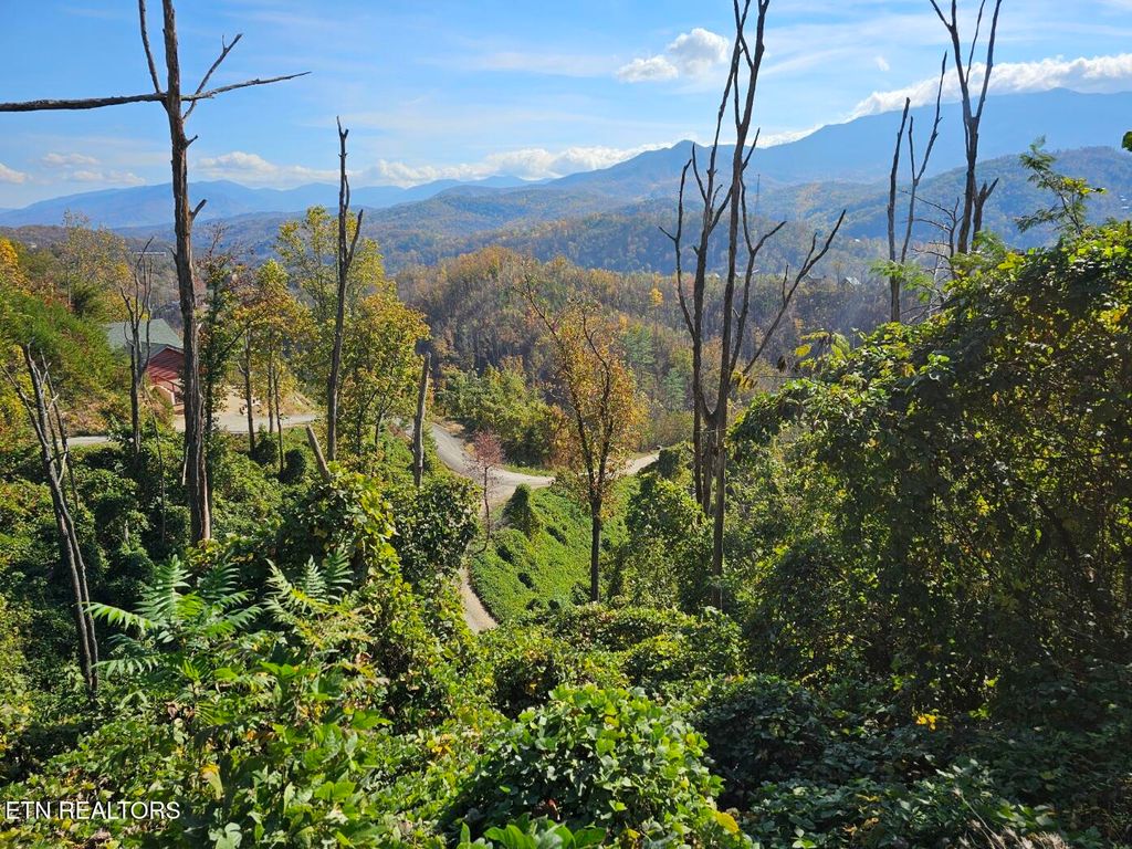 Photo of 639 Kristis Place, Gatlinburg, TN 37738 (MLS # 1281410)