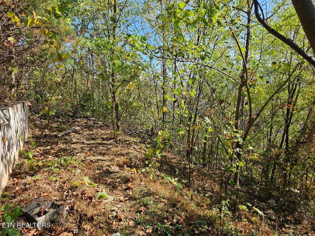 Photo of 639 Kristis Place, Gatlinburg, TN 37738 (MLS # 1281410)