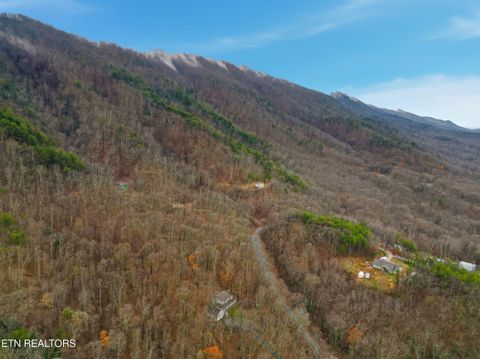 Tiny photo for 3772 Chilly Springs Rd, Maryville, TN 37803 (MLS # 1323908)