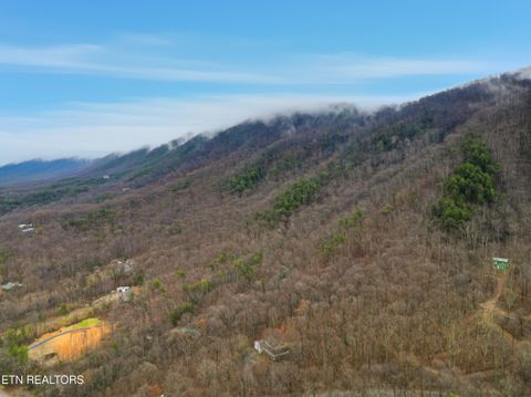 Tiny photo for 3772 Chilly Springs Rd, Maryville, TN 37803 (MLS # 1323908)