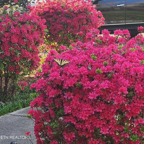 Tiny photo for 114 County Road 575, Englewood, TN 37329 (MLS # 1338162)