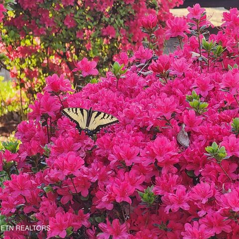 Tiny photo for 114 County Road 575, Englewood, TN 37329 (MLS # 1338162)