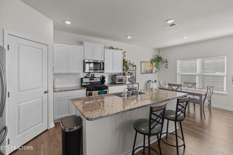 Tiny photo for 573 Cliff St, Morristown, TN 37814 (MLS # 1323419)