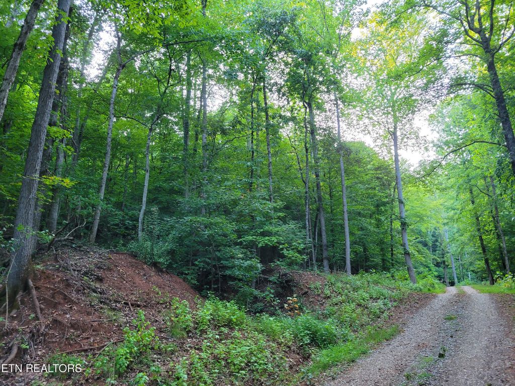 Photo of Delta Queen Rd, Louisville, TN 37777 (MLS # 1280592)