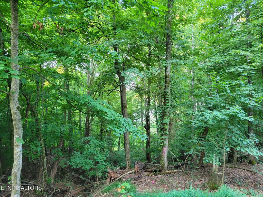 Photo of Delta Queen Rd, Louisville, TN 37777 (MLS # 1280592)