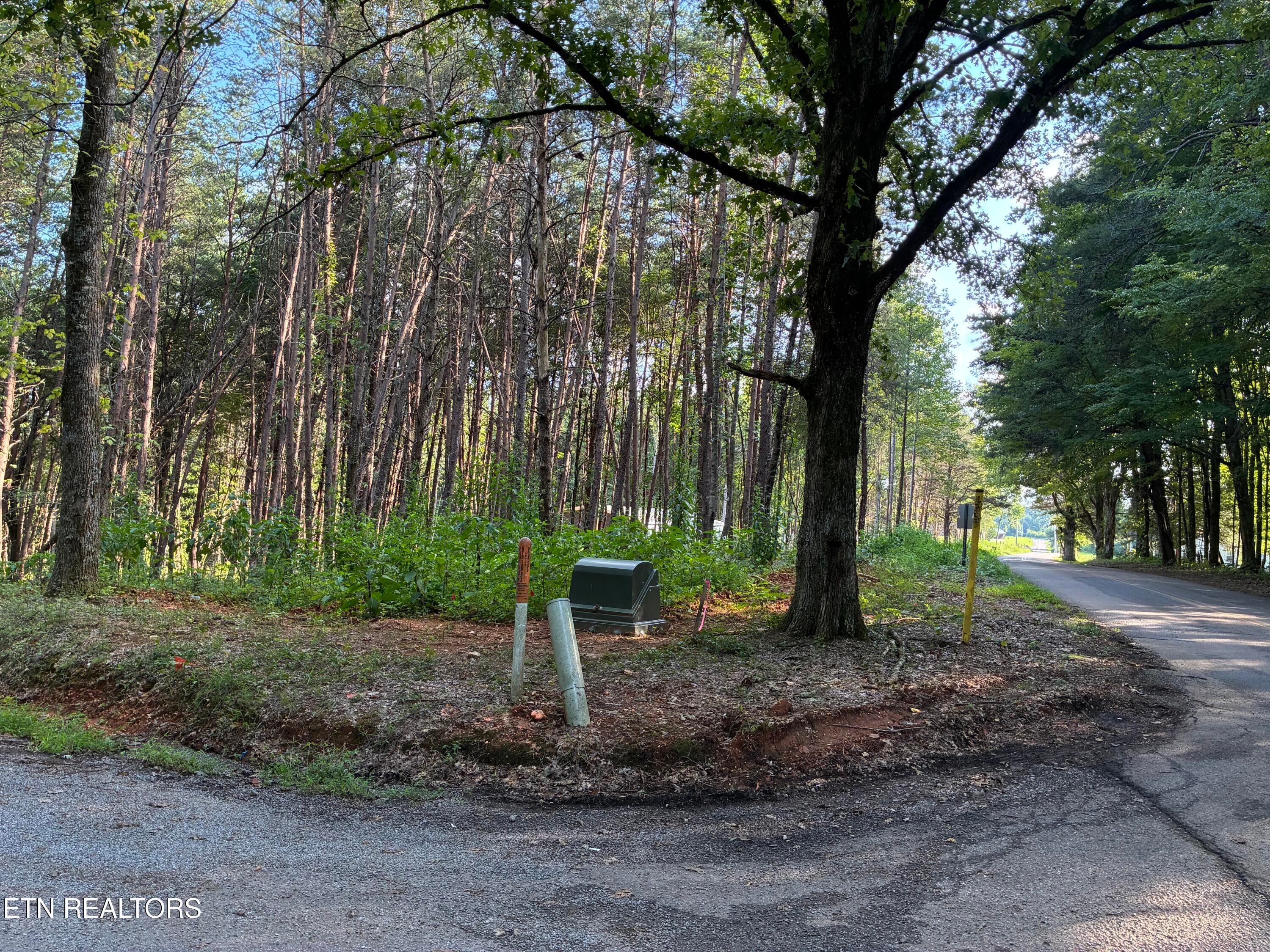 100 County Road 262