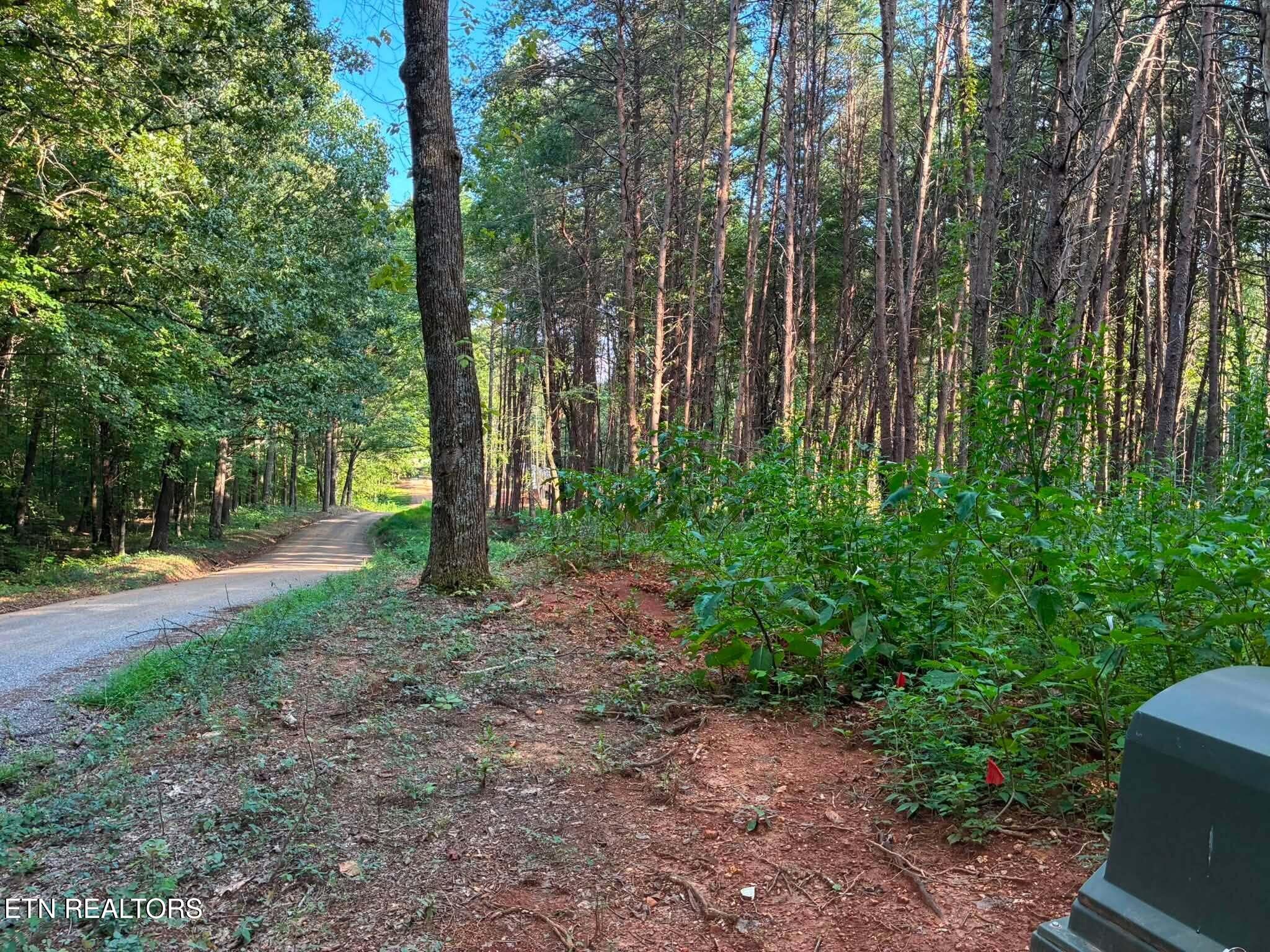 100 County Road 262