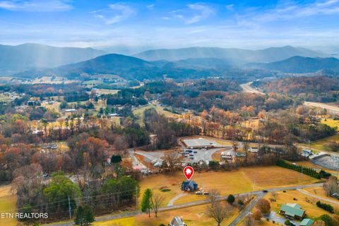 Tiny photo for 141 Robert Lee Drive, Newport, TN 37821 (MLS # 1322642)