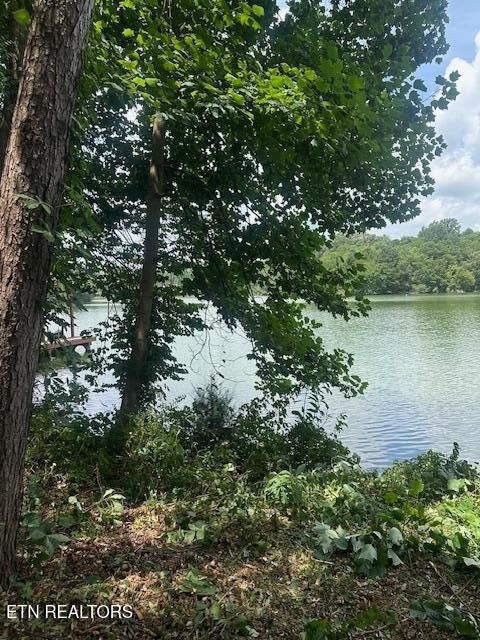 317 Inagehi Lane Loudon TN 37774