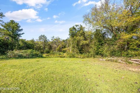 Tiny photo for 0 Clift Rd, Strawberry Plains, TN 37871 (MLS # 1317771)
