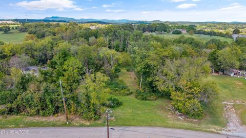 Tiny photo for 0 Clift Rd, Strawberry Plains, TN 37871 (MLS # 1317771)