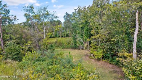 Tiny photo for 0 Clift Rd, Strawberry Plains, TN 37871 (MLS # 1317771)