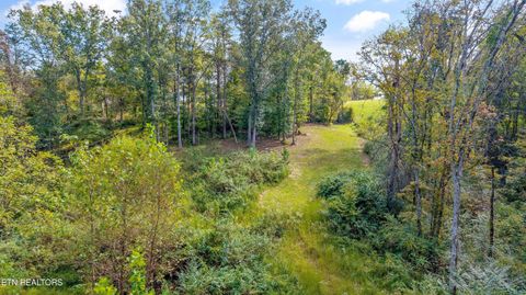 Tiny photo for 0 Clift Rd, Strawberry Plains, TN 37871 (MLS # 1317771)