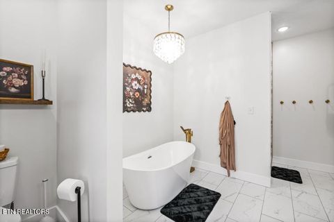 Tiny photo for 170 Wolf Hollow Lane, Jacksboro, TN 37757 (MLS # 1329481)