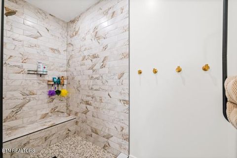 Tiny photo for 170 Wolf Hollow Lane, Jacksboro, TN 37757 (MLS # 1329481)