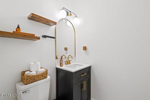 Tiny photo for 170 Wolf Hollow Lane, Jacksboro, TN 37757 (MLS # 1329481)