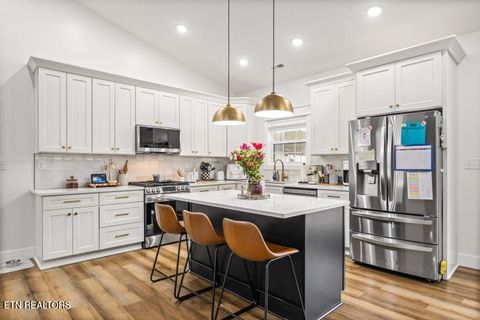 Tiny photo for 170 Wolf Hollow Lane, Jacksboro, TN 37757 (MLS # 1329481)