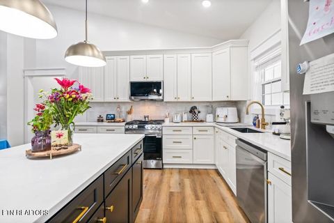 Tiny photo for 170 Wolf Hollow Lane, Jacksboro, TN 37757 (MLS # 1329481)