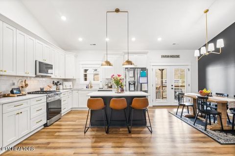 Tiny photo for 170 Wolf Hollow Lane, Jacksboro, TN 37757 (MLS # 1329481)