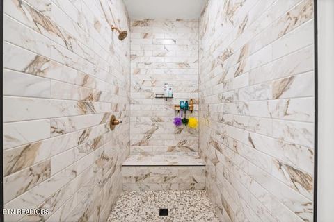 Tiny photo for 170 Wolf Hollow Lane, Jacksboro, TN 37757 (MLS # 1329481)