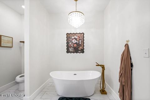 Tiny photo for 170 Wolf Hollow Lane, Jacksboro, TN 37757 (MLS # 1329481)