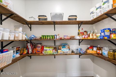 Tiny photo for 170 Wolf Hollow Lane, Jacksboro, TN 37757 (MLS # 1329481)