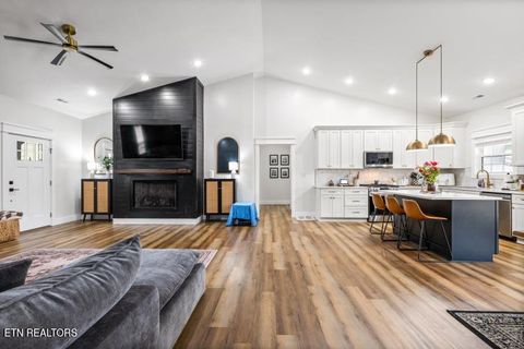 Tiny photo for 170 Wolf Hollow Lane, Jacksboro, TN 37757 (MLS # 1329481)