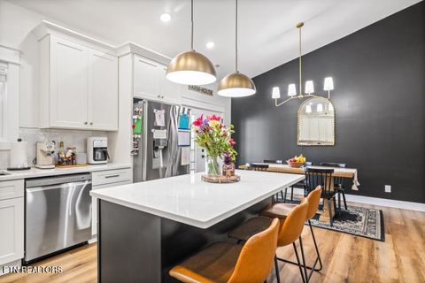 Tiny photo for 170 Wolf Hollow Lane, Jacksboro, TN 37757 (MLS # 1329481)