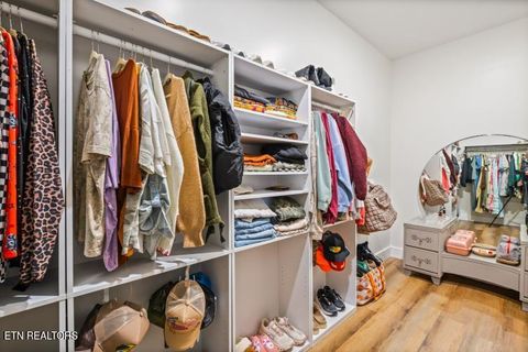 Tiny photo for 170 Wolf Hollow Lane, Jacksboro, TN 37757 (MLS # 1329481)