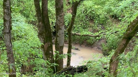 Tiny photo for 427439 Thorngrove Pike, Kodak, TN 37764 (MLS # 1340294)