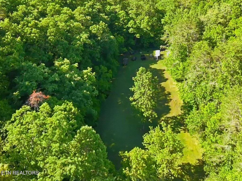 Photo of 427439 Thorngrove Pike, Kodak, TN 37764 (MLS # 1340294)
