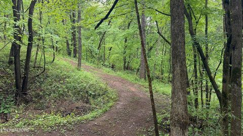 Tiny photo for 427439 Thorngrove Pike, Kodak, TN 37764 (MLS # 1340294)