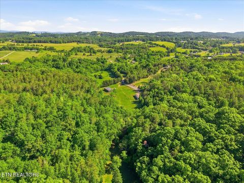Tiny photo for 427439 Thorngrove Pike, Kodak, TN 37764 (MLS # 1340294)