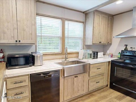 Tiny photo for 427439 Thorngrove Pike, Kodak, TN 37764 (MLS # 1340294)