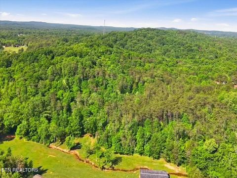 Tiny photo for 427439 Thorngrove Pike, Kodak, TN 37764 (MLS # 1340294)