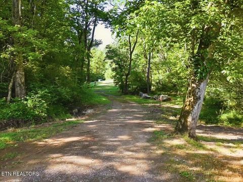 Tiny photo for 427439 Thorngrove Pike, Kodak, TN 37764 (MLS # 1340294)