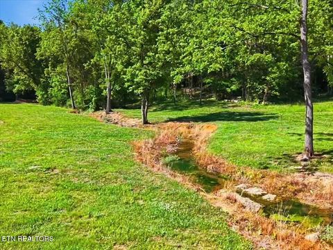 Tiny photo for 427439 Thorngrove Pike, Kodak, TN 37764 (MLS # 1340294)